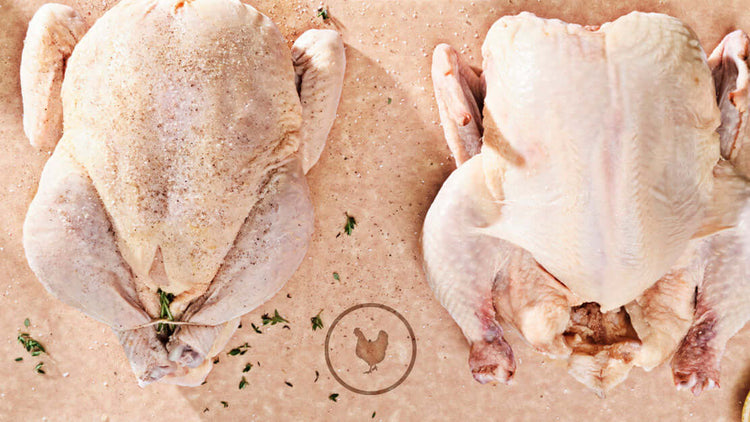 Food Code Poultry Icon Engraved on a Board featuring two raw chickens